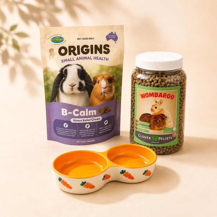 Care & Essentials