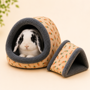 Comfort & Housing